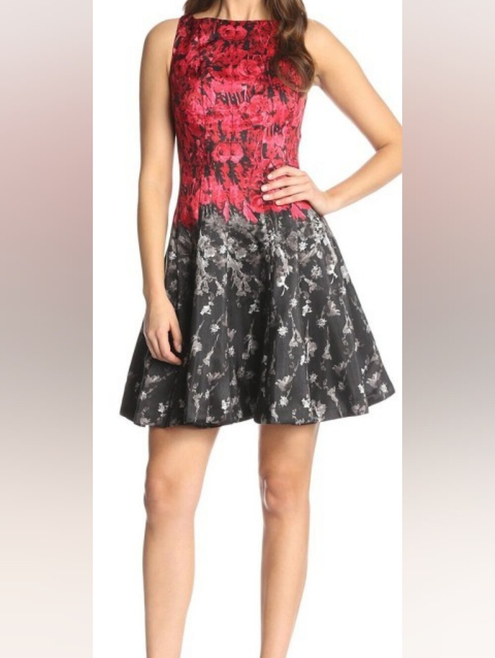 Julian Taylor Red and Black Floral A-Line Dress